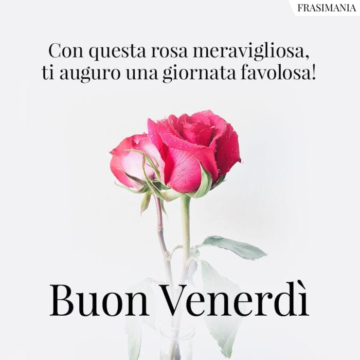 Con questa rosa meravigliosa, ti auguro una giornata favolosa! Buon Venerdì.