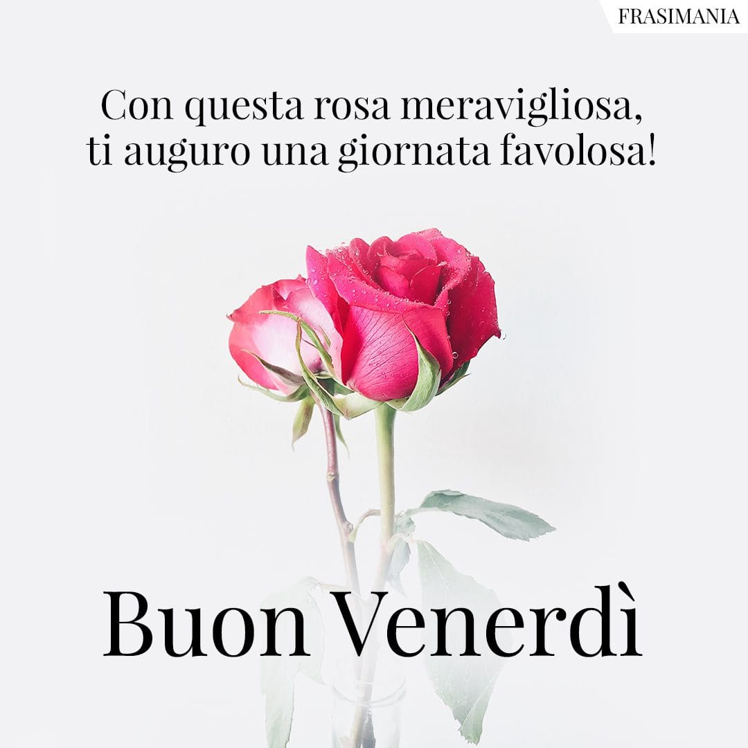 Con questa rosa meravigliosa, ti auguro una giornata favolosa! Buon Venerdì.