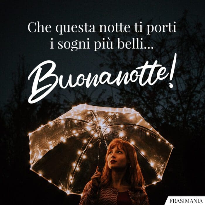 Che questa notte ti porti i sogni più belli… Buonanotte!