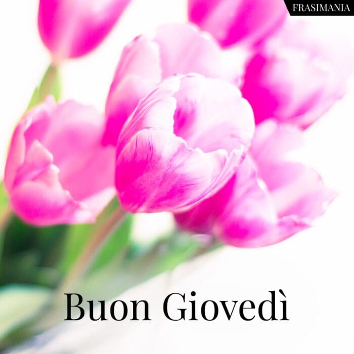 Buon Giovedì.