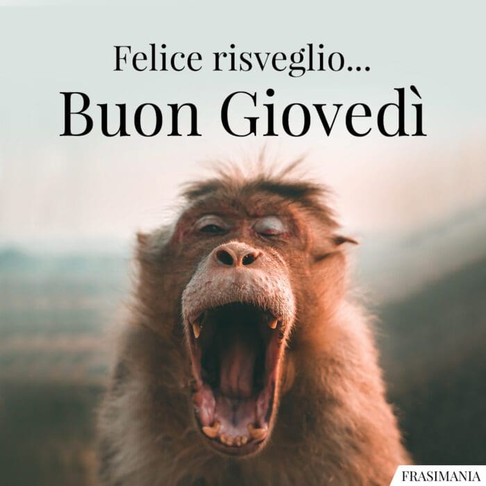 Buongiorno buon giovedì risveglio