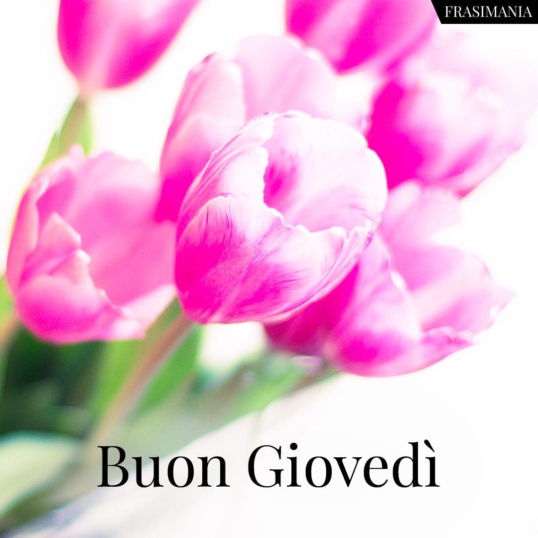 Buon Giovedì.