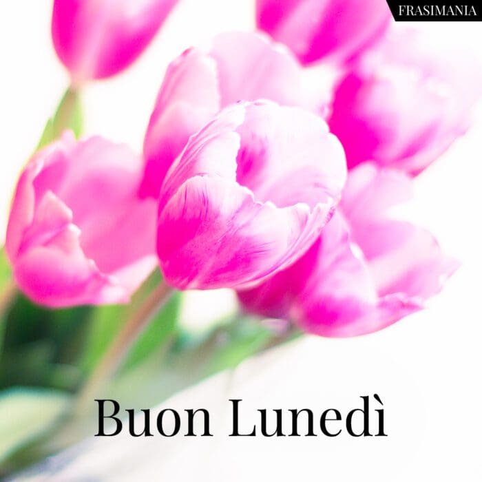 buongiorno-buon-lunedi