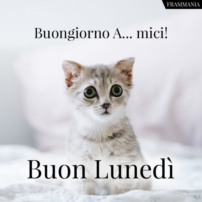 Buongiorno buon lunedì amici