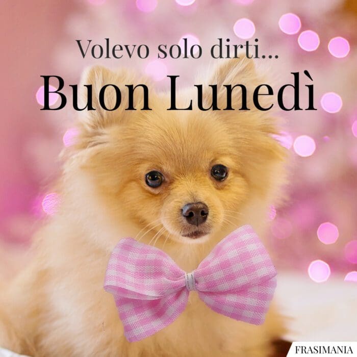 Volevo solo dirti… Buon Lunedì.