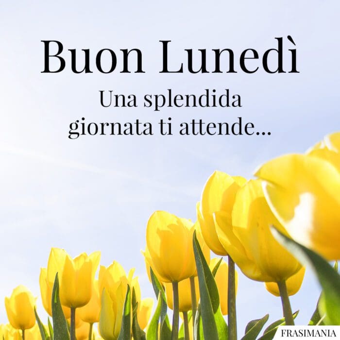 Buon Lunedì. Una splendida giornata ti attende…