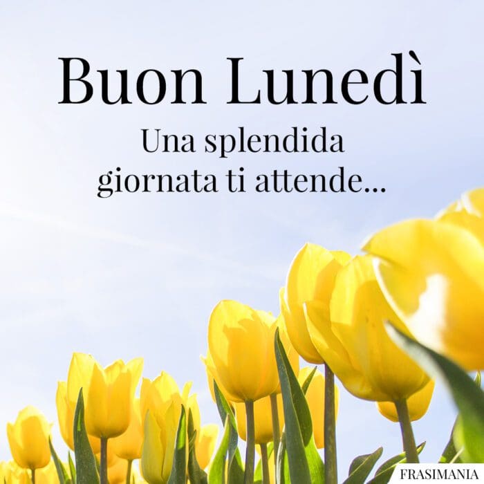 Buongiorno buon lunedì giornata