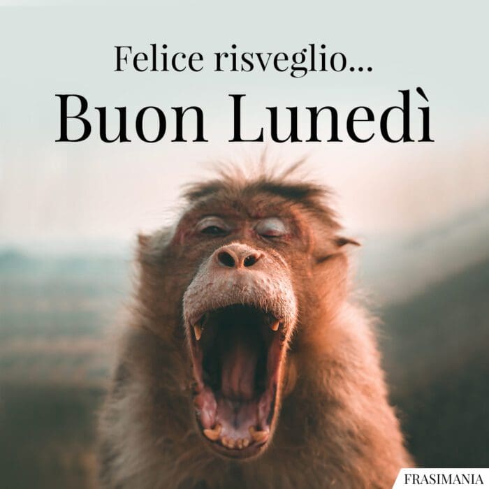 Felice risveglio... Buon Lunedì.