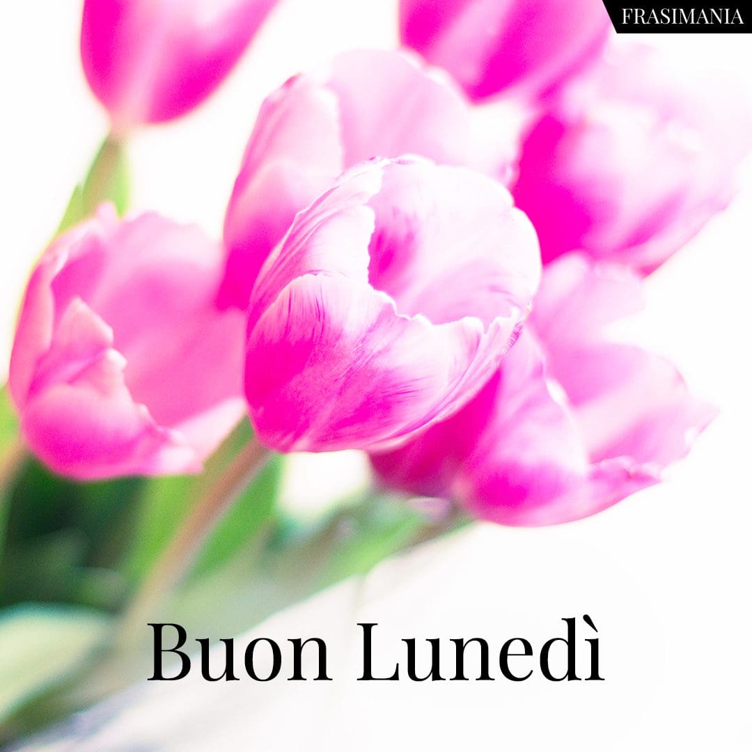 Buon Lunedì.