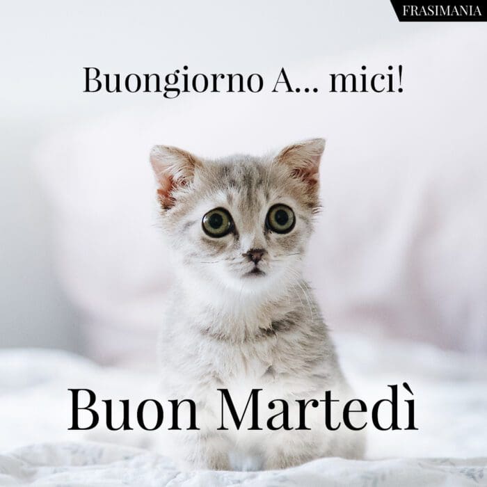 Buongiorno buon martedì amici