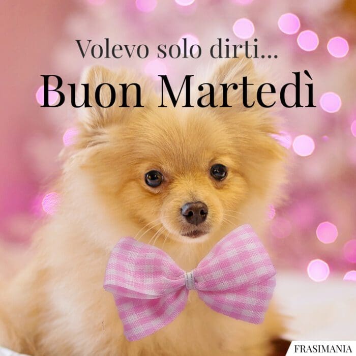 Volevo solo dirti… Buon Martedì.
