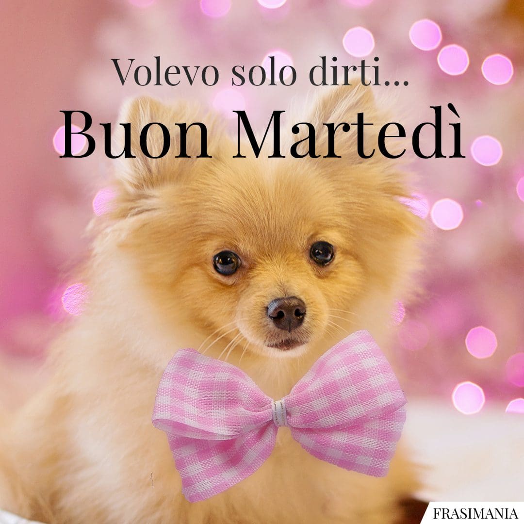 Volevo solo dirti... Buon Martedì.
