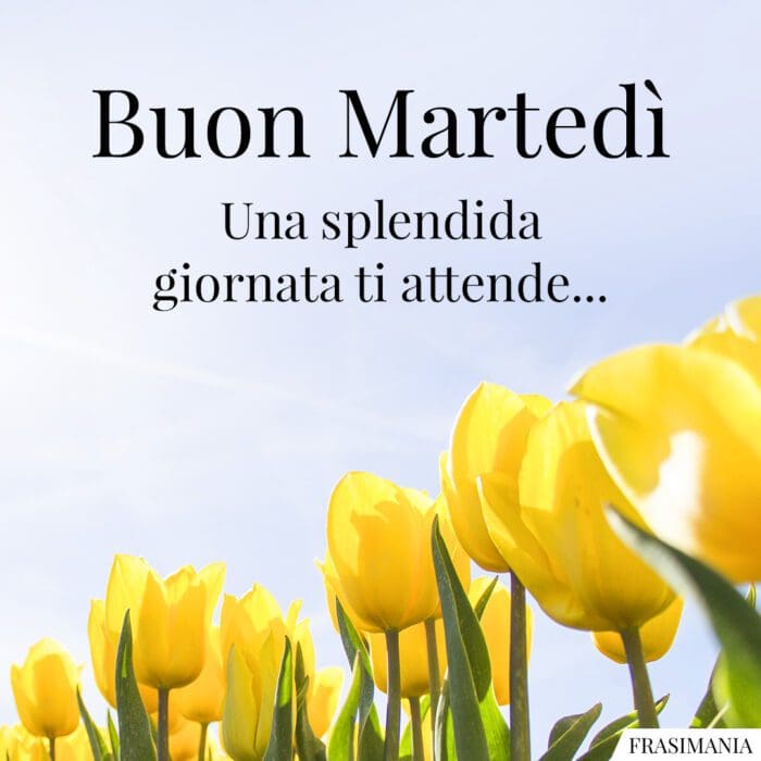 Buon Martedì. Una splendida giornata ti attende…