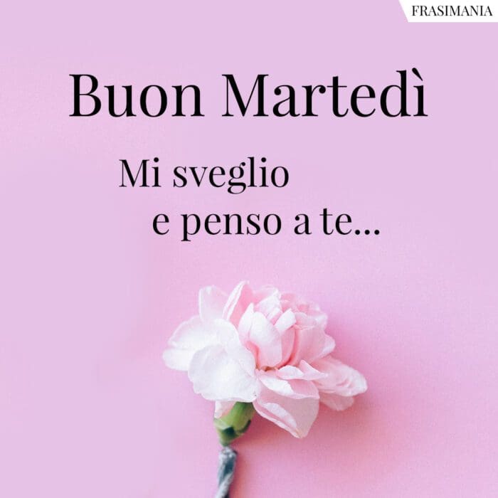 Buon Martedì. Mi sveglio e penso a te…