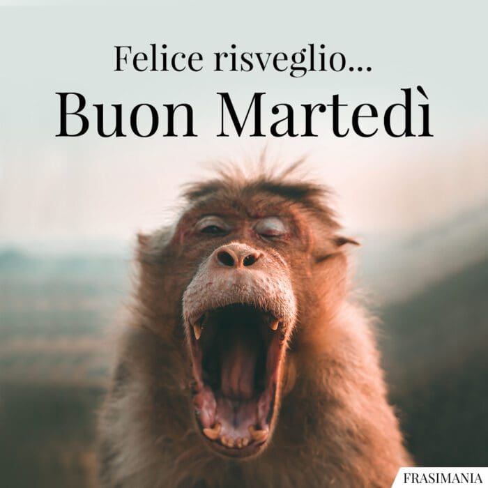 Felice risveglio… Buon Martedì.
