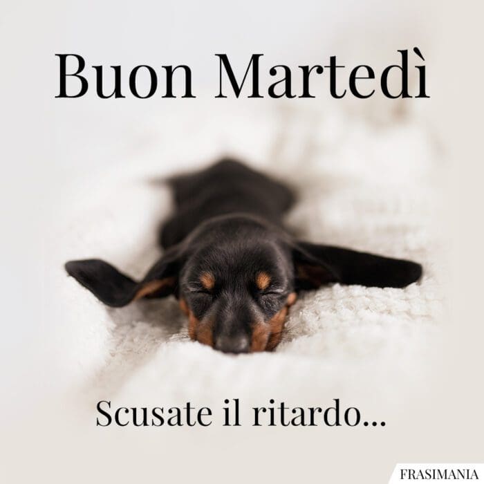 Buon Martedì. Scusate il ritardo…