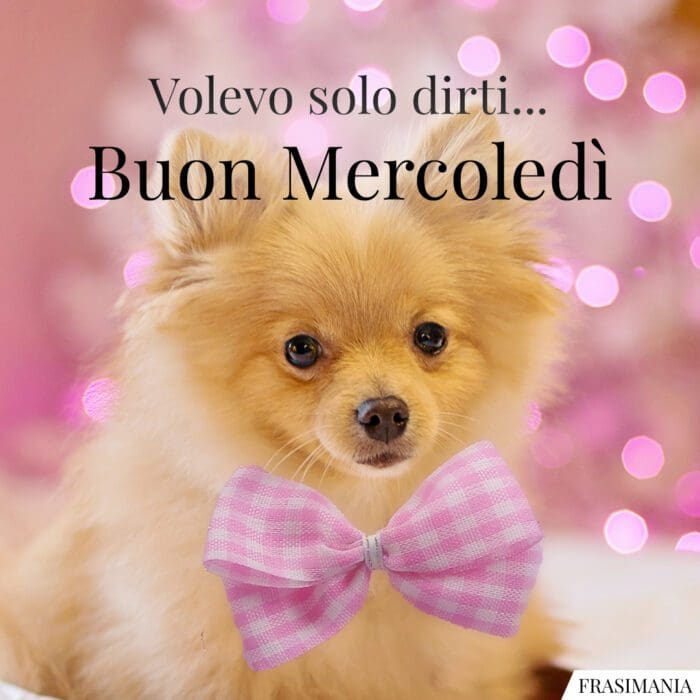 Volevo solo dirti… Buon Mercoledì.