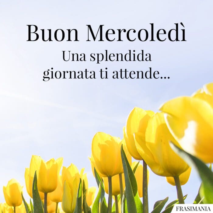 Buon Mercoledì. Una splendida giornata ti attende…
