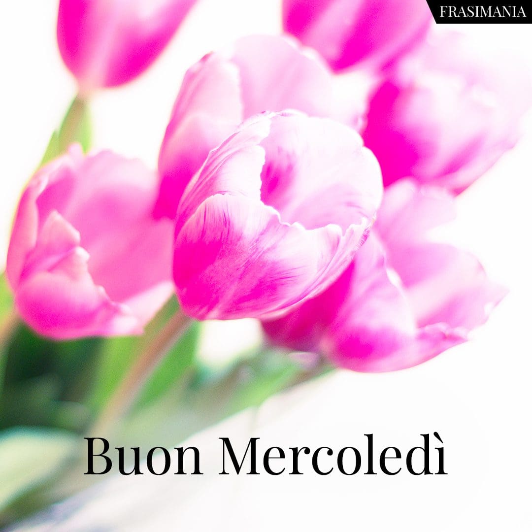 Buon Mercoledì.