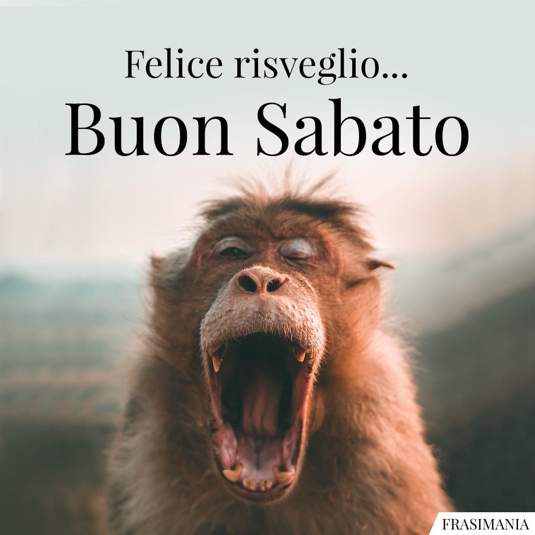 Felice risveglio... Buon Sabato.
