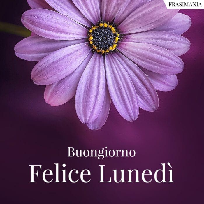 Buongiorno. Felice Lunedì.