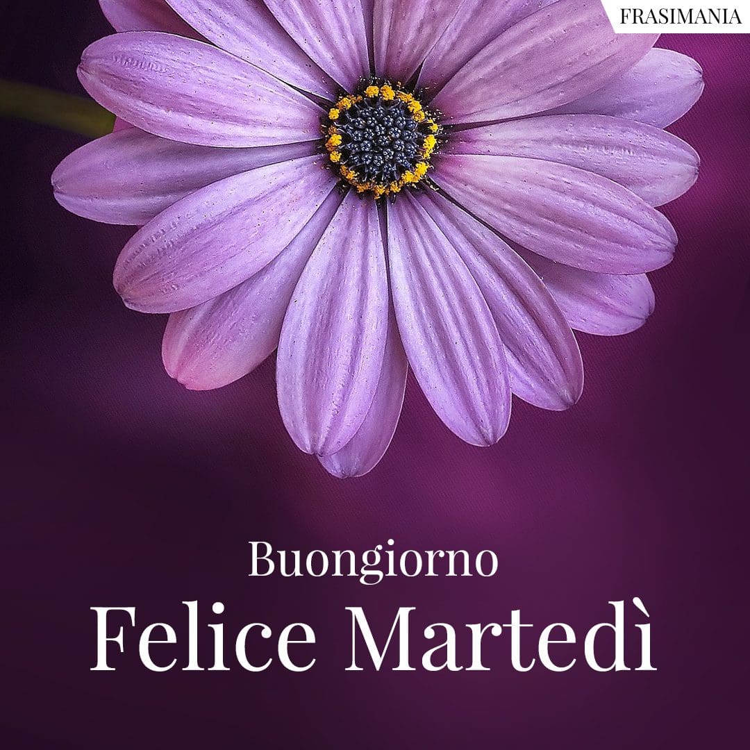 Buongiorno. Felice Martedì.