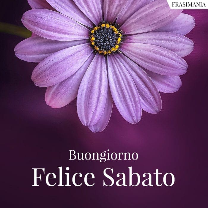 Buongiorno felice Sabato