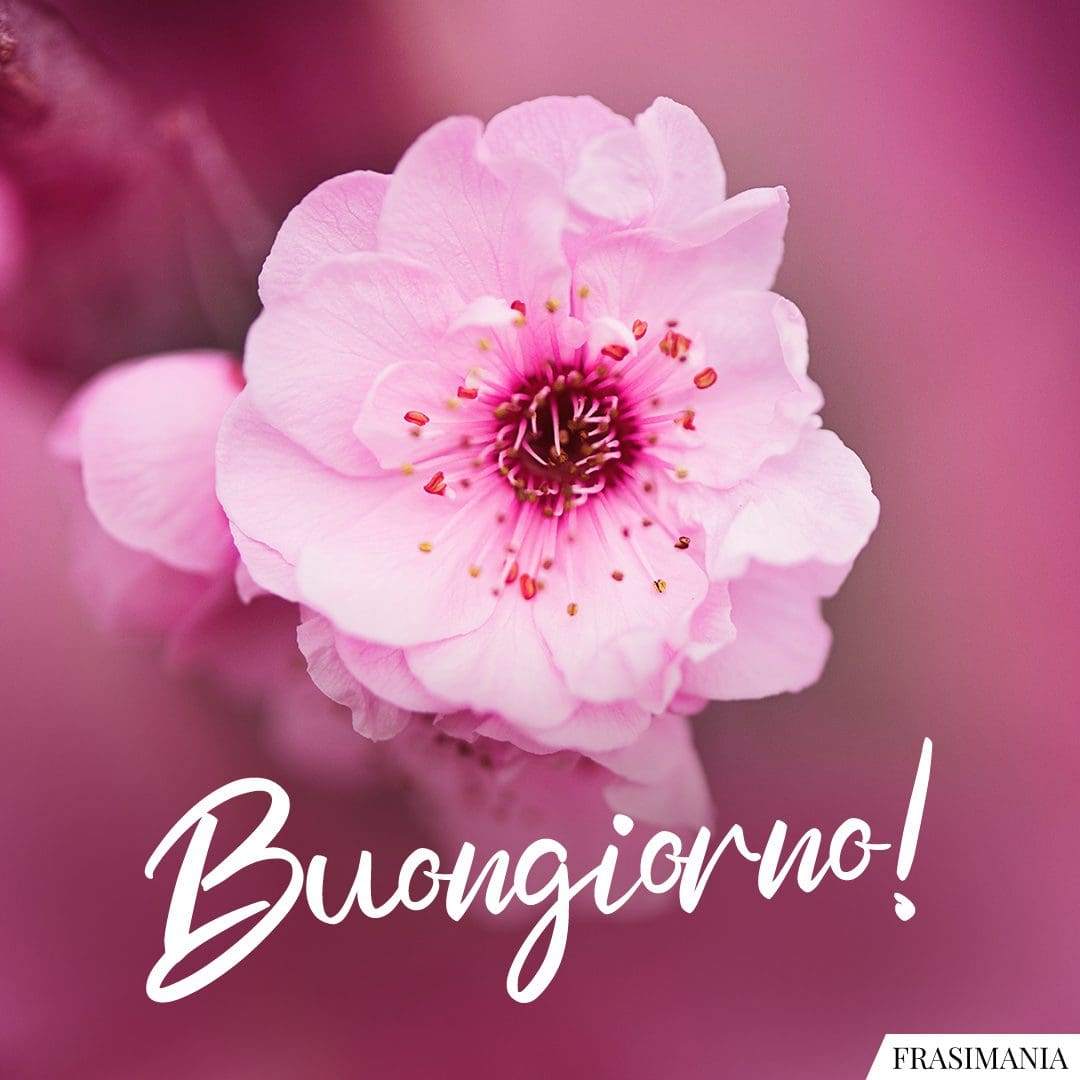 Buongiorno!