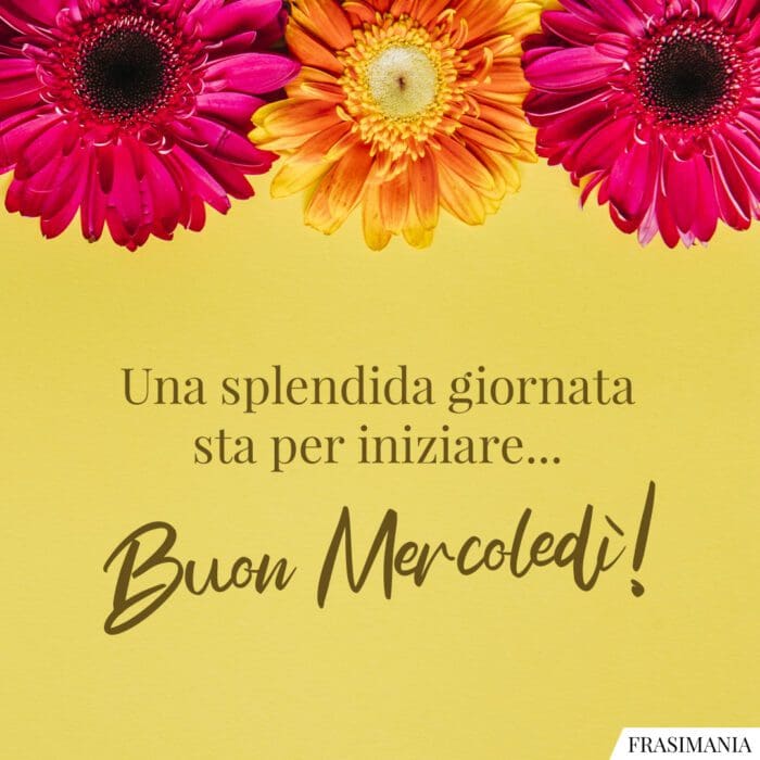 Buongiorno mercoledì iniziare