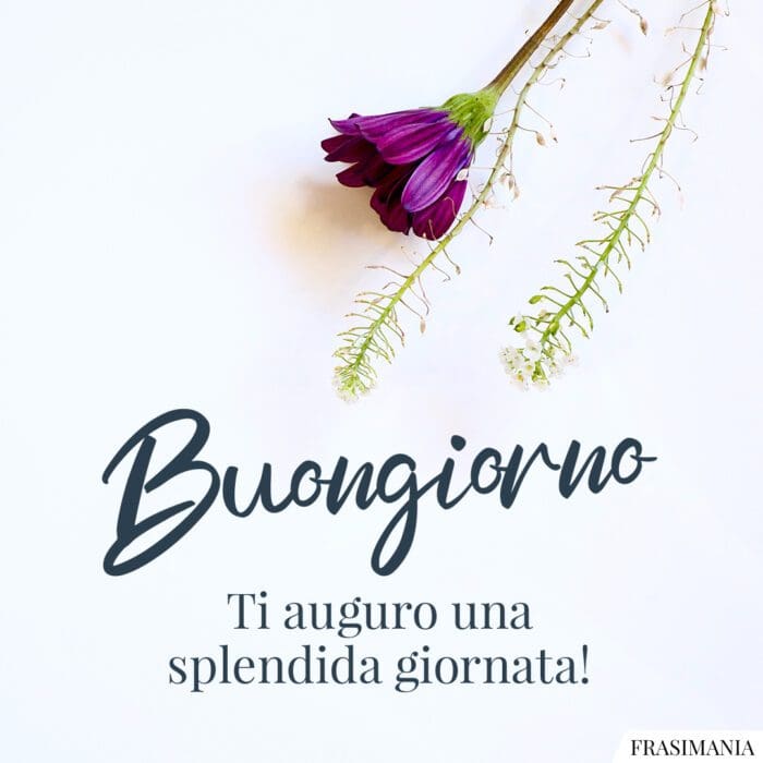 Buongiorno splendida giornata