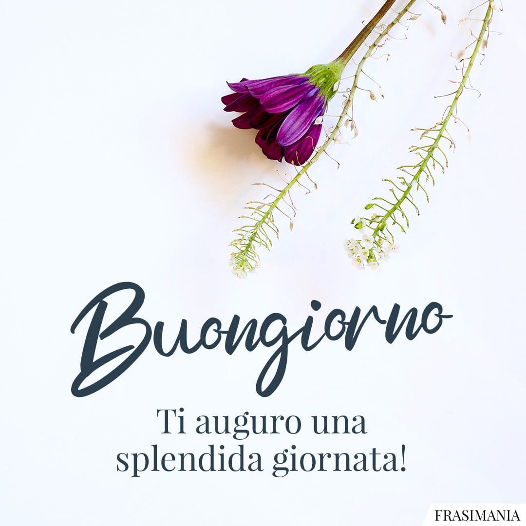 Buongiorno. Ti auguro una splendida giornata!
