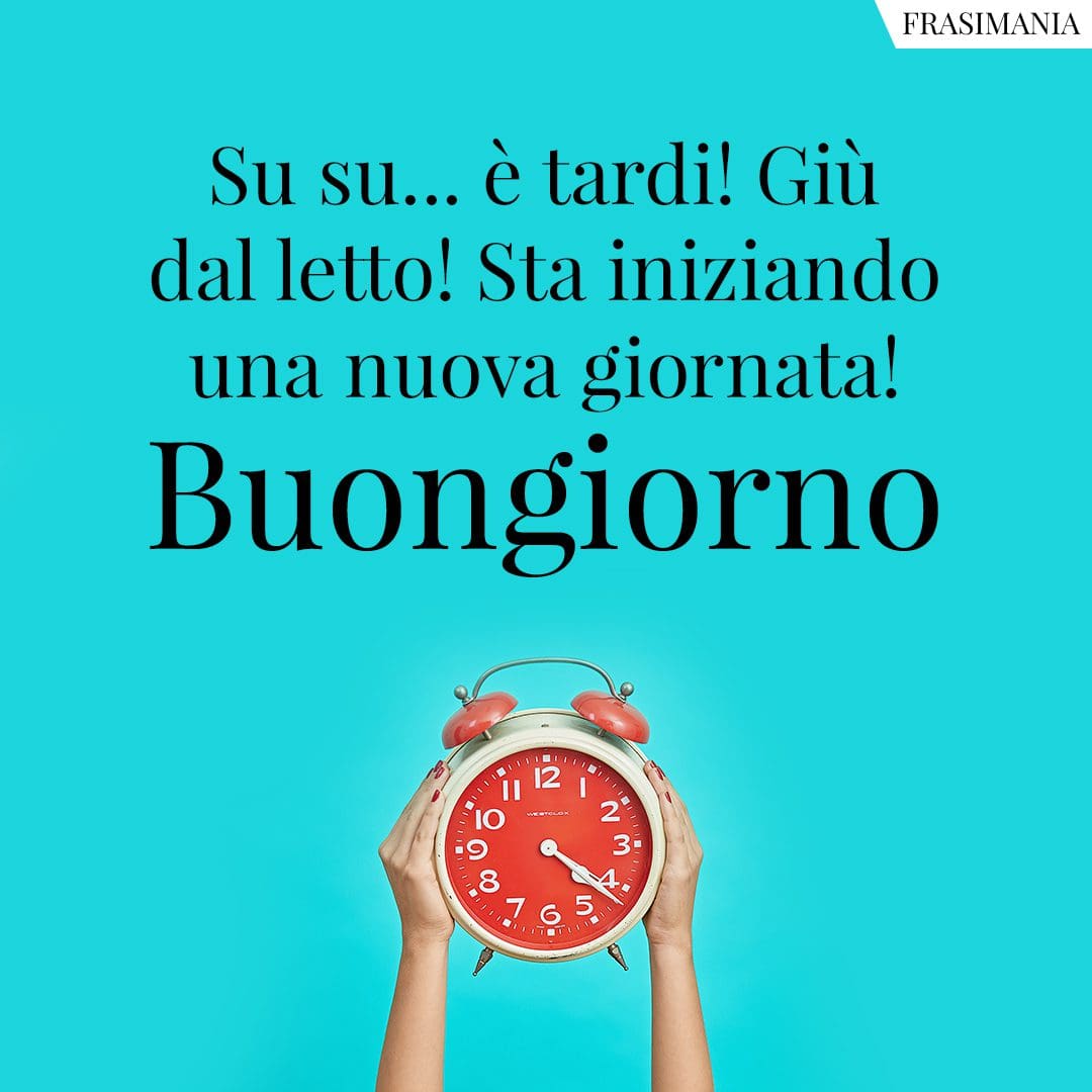 Su si... è tardi! Giù dal letto! Sta iniziando una nuova giornata! Buongiorno.