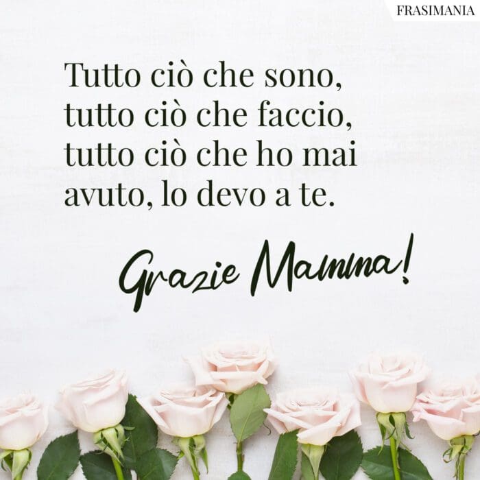 Tutto ciò che sono, tutto ciò che faccio, tutto ciò che ho mai avuto, lo devo a te. Grazie mamma!