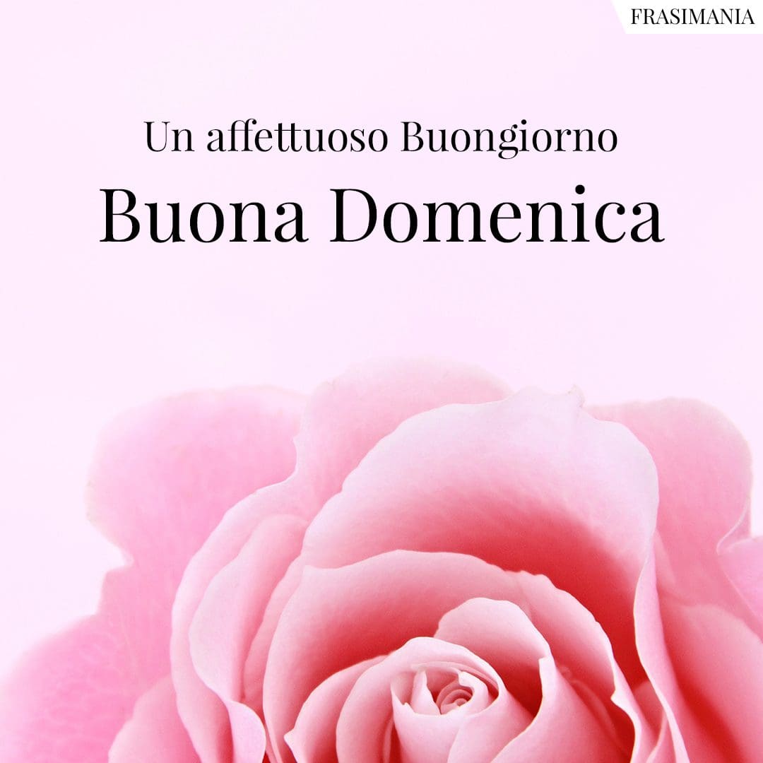 Un affettuoso Buongiorno. Buona Domenica.