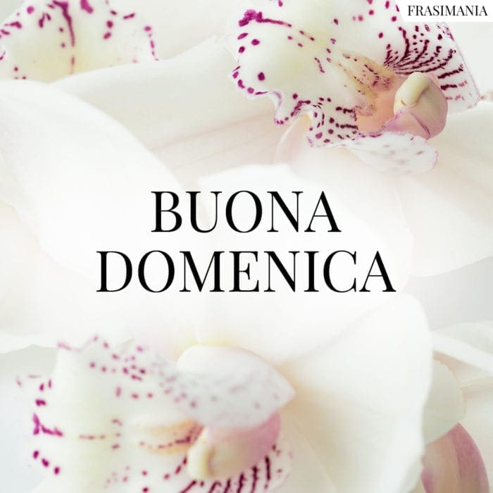  buon AGOSTO  a tutti Buona-domenica-fiori-2-700x700