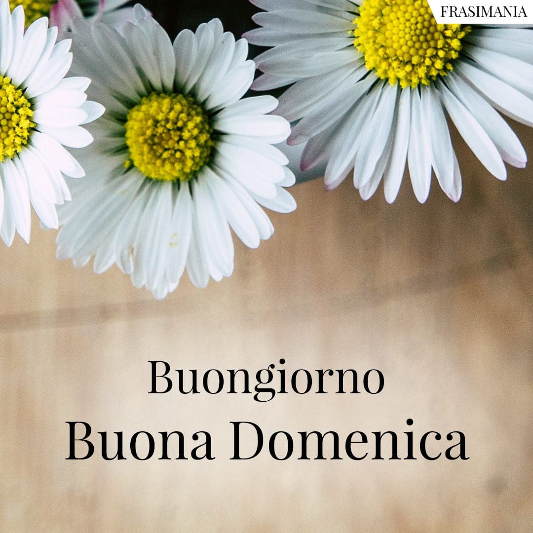 Buongiorno. Buona Domenica.
