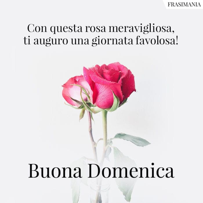 Con questa rosa meravigliosa, ti auguro una giornata favolosa! Buona Domenica.