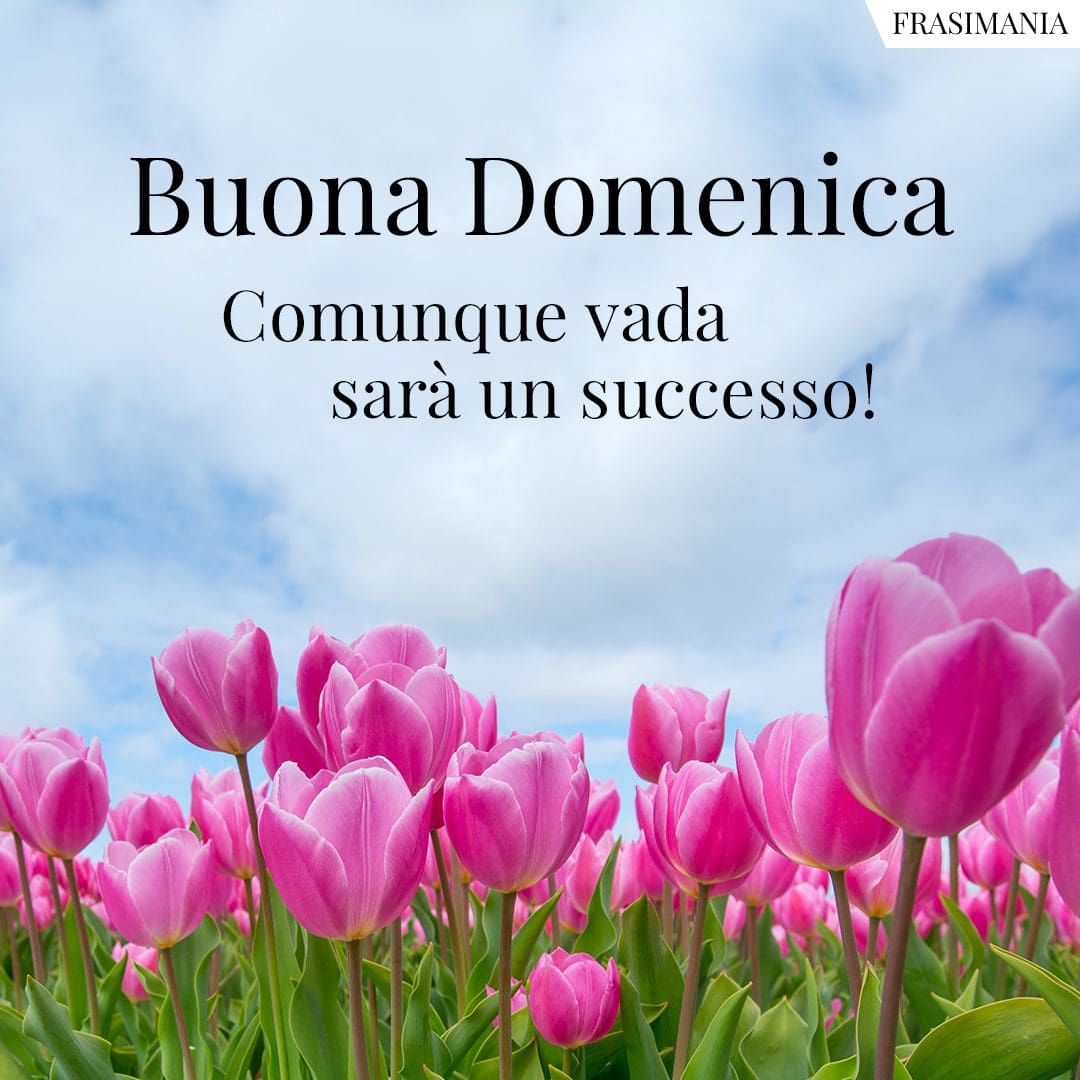 Buona Domenica. Comunque vada sarà un successo!