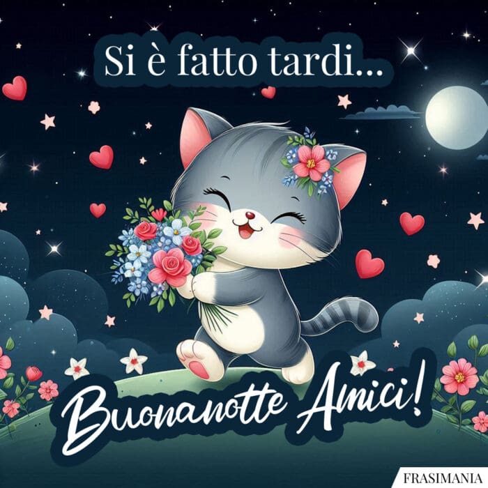 Si è fatto tardi… Buonanotte Amici!
