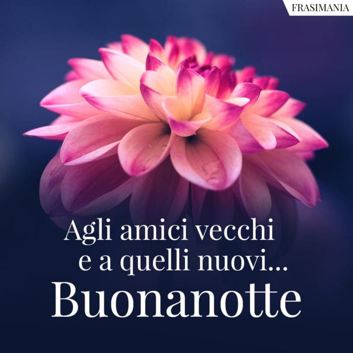 Agli amici vecchi e a quelli nuovi… Buonanotte.