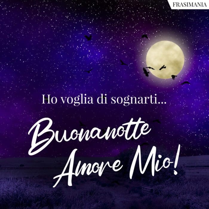 Ho voglia di sognarti... Buonanotte Amore Mio!