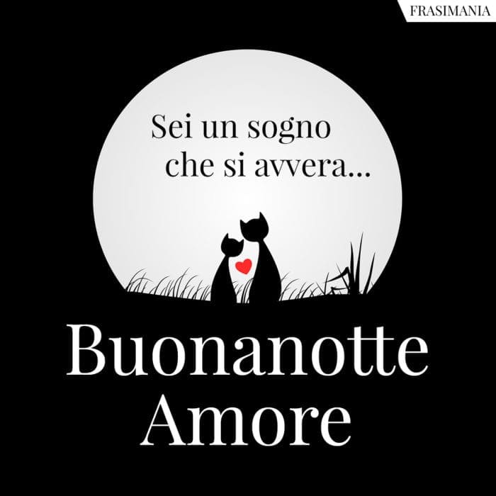 Sei un sogno che si avvera… Buonanotte Amore.