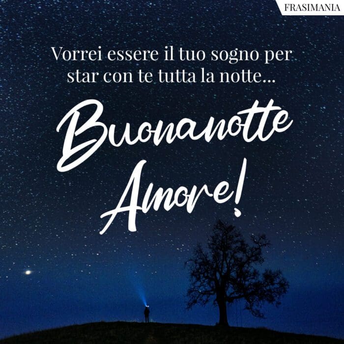 Vorrei essere il tuo sogno per star con te tutta la notte… Buonanotte Amore!