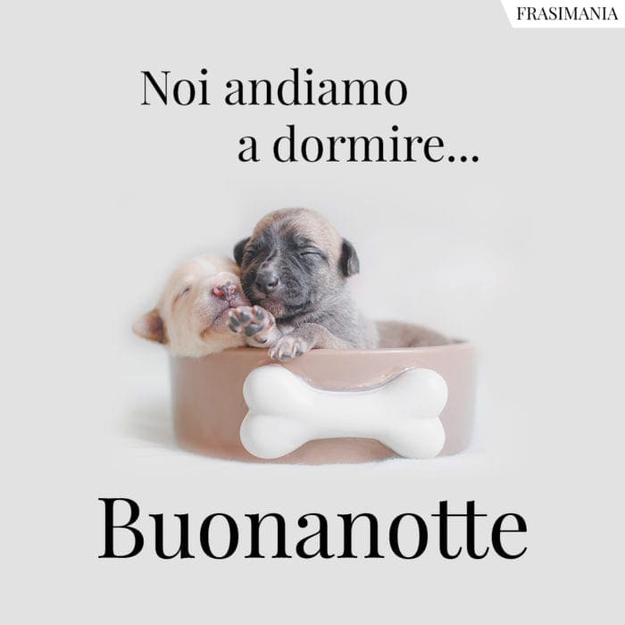 Noi andiamo a dormire… Buonanotte.