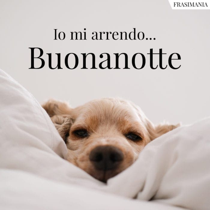 Io mi arrendo… Buonanotte.
