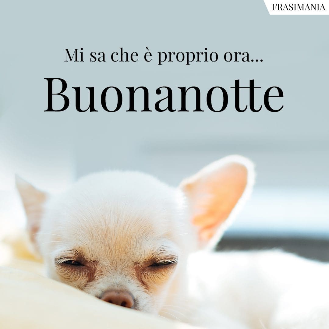 Mi sa che è proprio ora... Buonanotte.