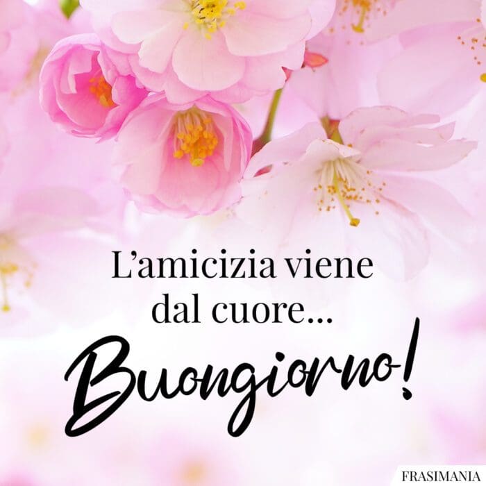 Buongiorno amicizia cuore