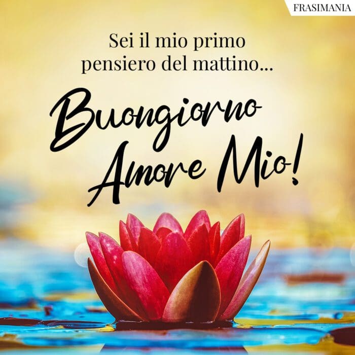 Buongiorno Amore Mio Le 100 Frasi Piu Belle E Piu Dolci Con Immagini