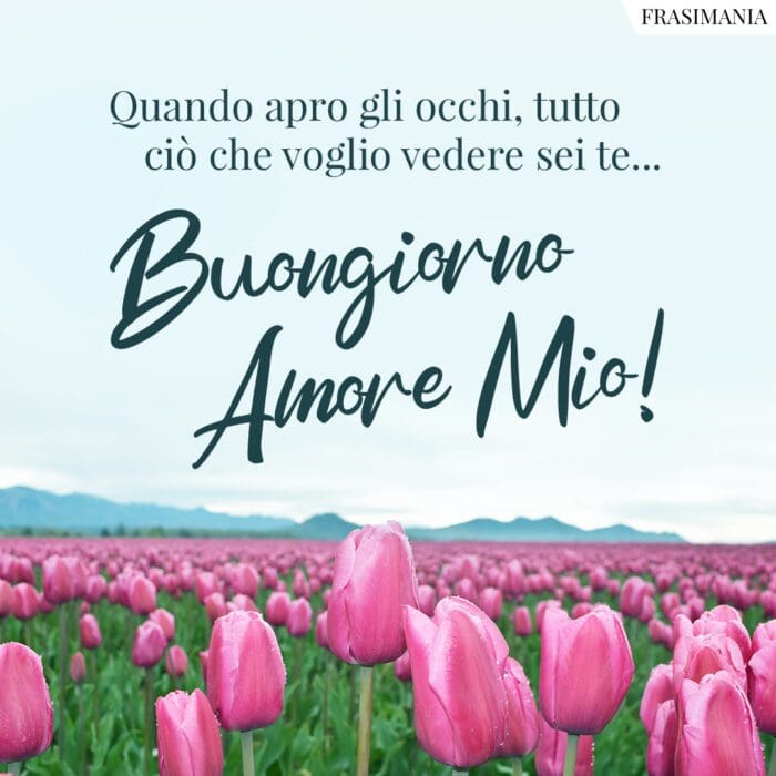 Buongiorno amore vedere te