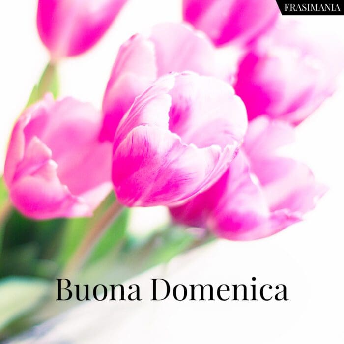 buongiorno-buona-domenica